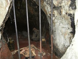 Avon Paranormal Team - The Ostrich Inn